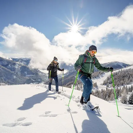 Chalet Trattlers Hof-chalets Bad Kleinkirchheim