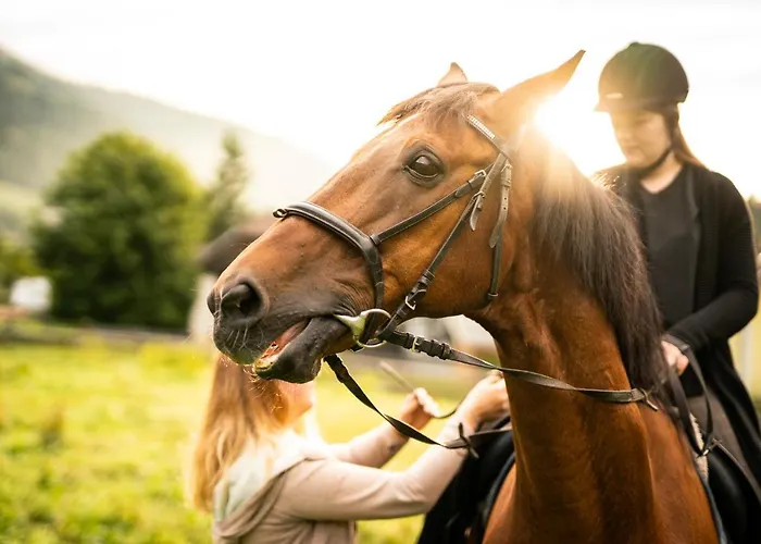 Trattlers Hof-chalets בקתה *